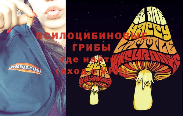 мдма Беломорск