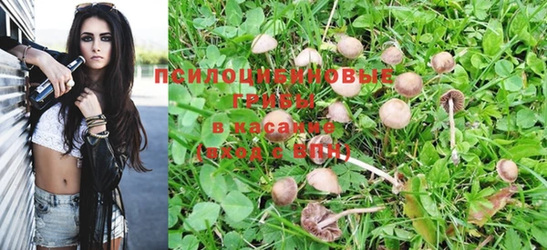 кристаллы Белоозёрский